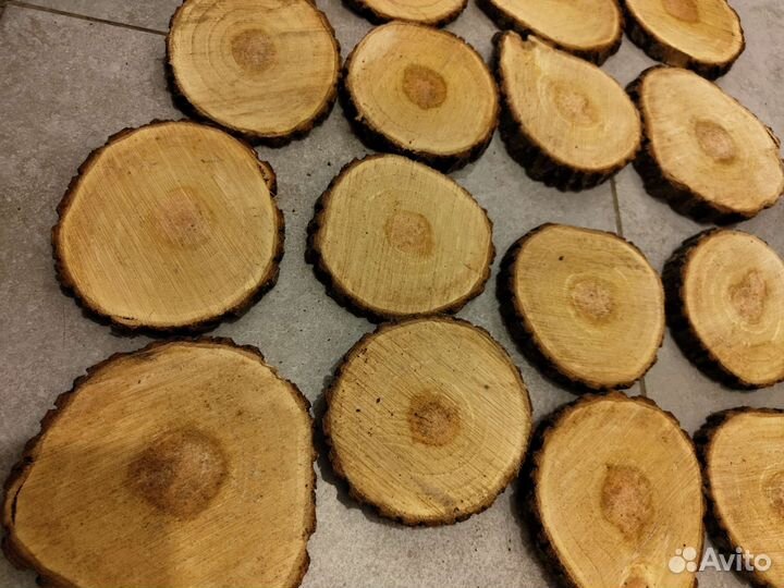 Спилы дерева под горячее/декор