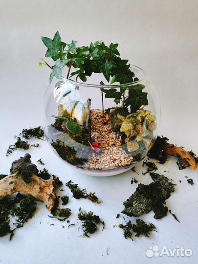 Подарок) Флорариум)