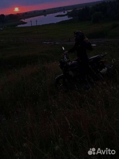 Alpha jaguar new lux 11