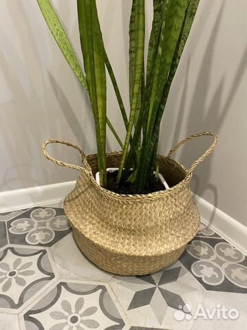 Флодис икеа