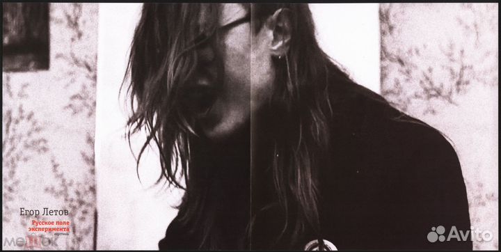 Егор Летов : Русское поле эксперимента. Акустика