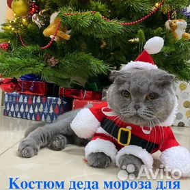 Новогодние костюмы для животных