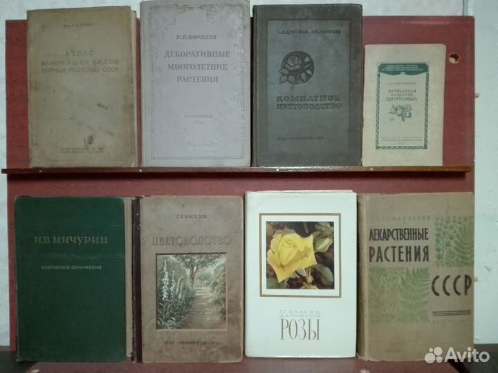 Книги по лесному хозяйству дендрологии энтомологии