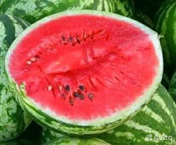 Арбузы Астраханские