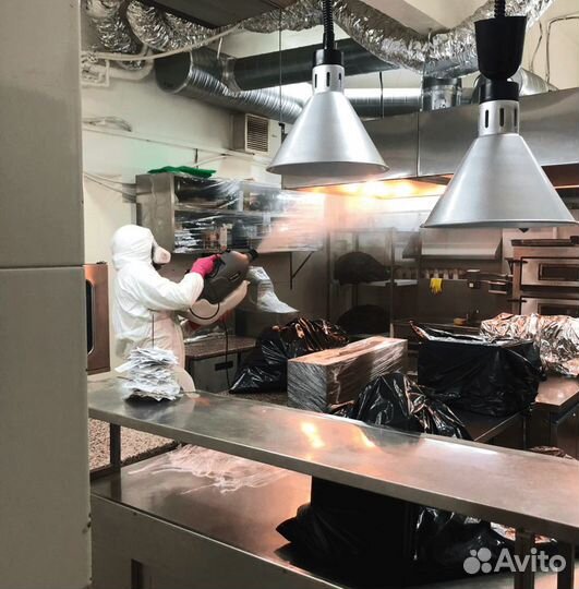 Уничтожение тараканов, крыс, мышей