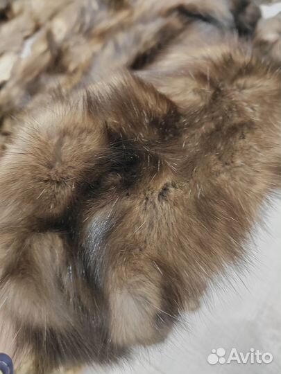 Шкурки соболя