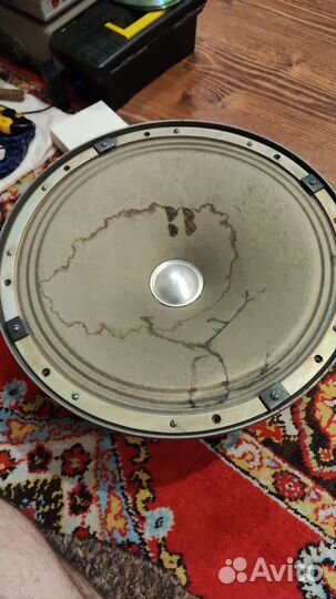 Динамик 25гдн-5