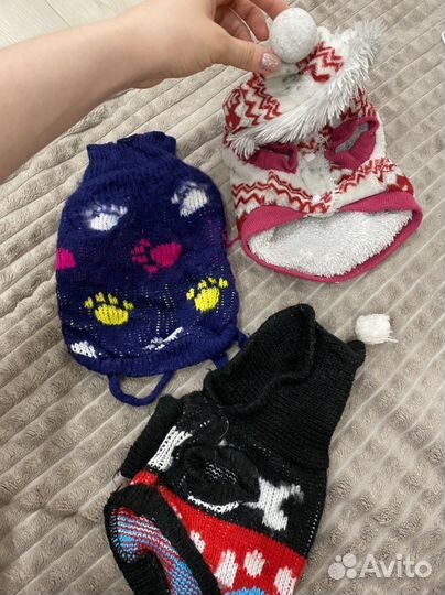 Вещи для кошек и собак