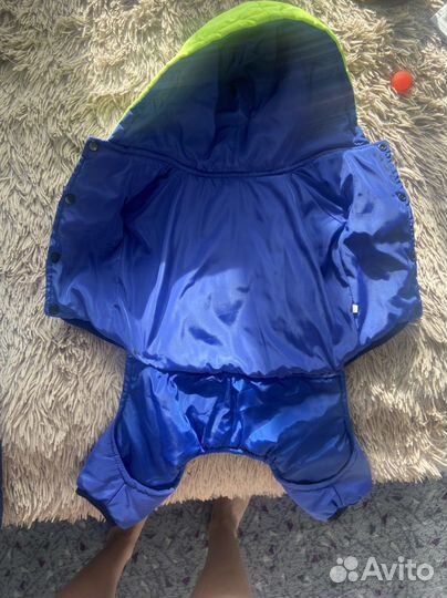 Одежда для собак мелких пород