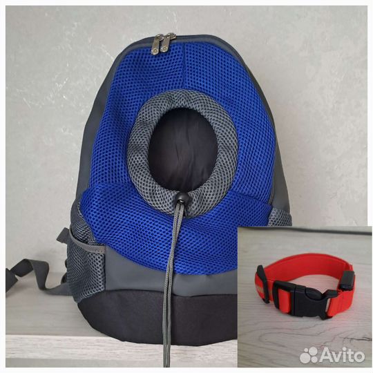 Рюкзак для собак и ошейник светящийся