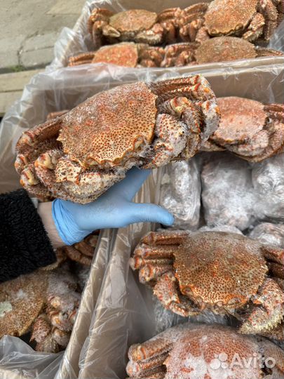 Оптом Краб Волосатик