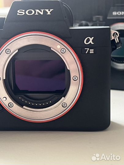 Беззеркальный фотоаппарат sony