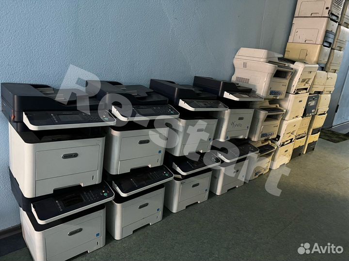 Принтеры и мфу