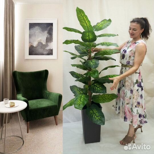 Диффенбахия Гранд цветок искусственный в офис кафе