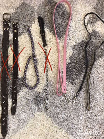 Амуниция для собак