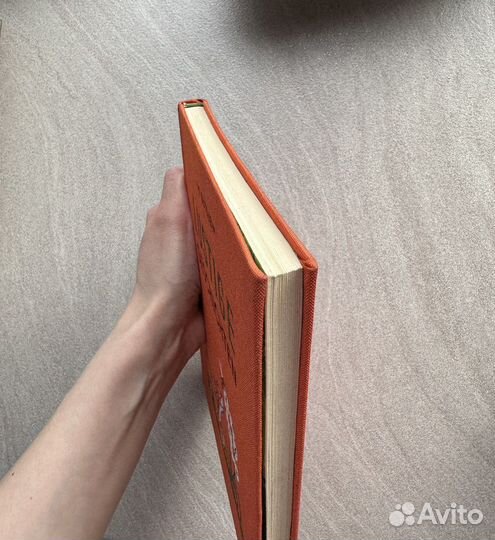 Lustige geschichten Сутеев