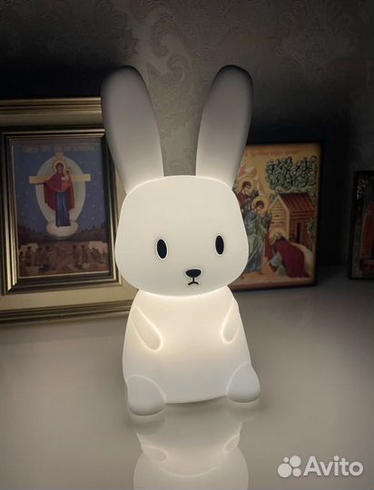 Заяц ночник
