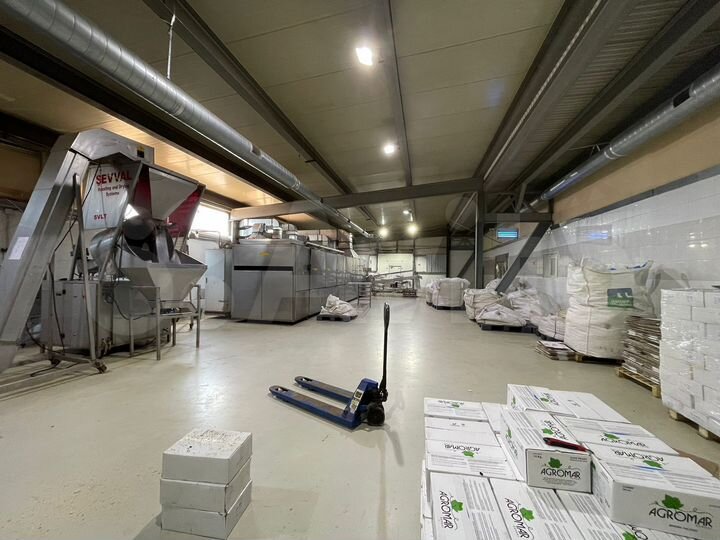 Пищевое производство 2700 кв м