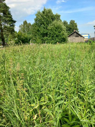 Дом 44,6 м² на участке 12,6 сот.