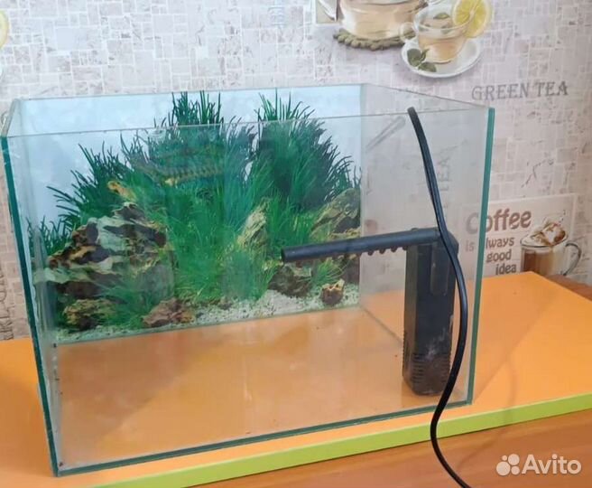 Аквариум с фильтром