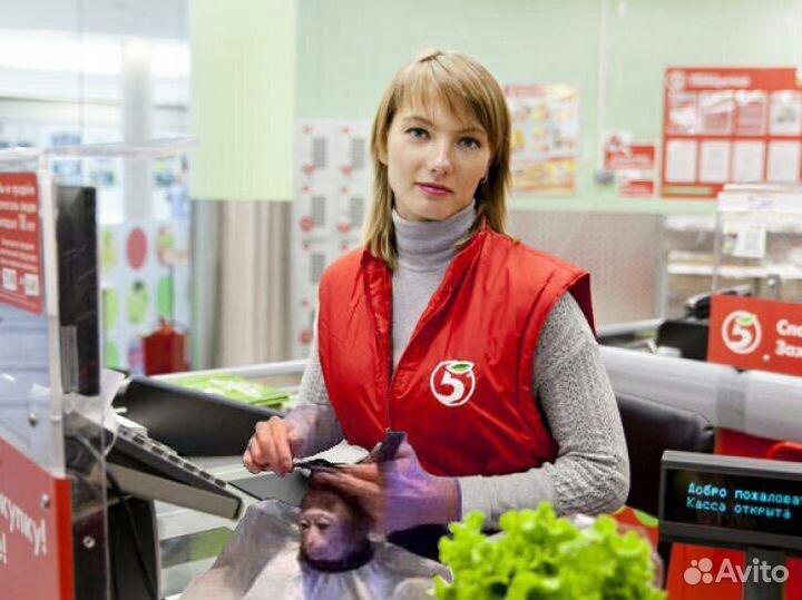 Кассир в продуктовый