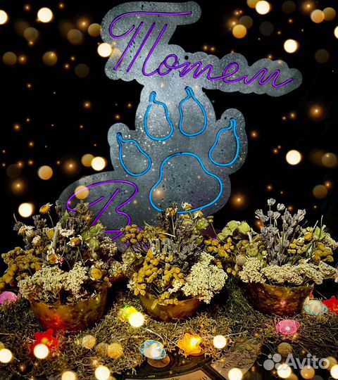 Ведьмина свеча - летний день