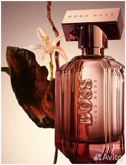 Hugo Boss the scent Le Parfum