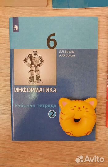Рабочие тетради 6 класс