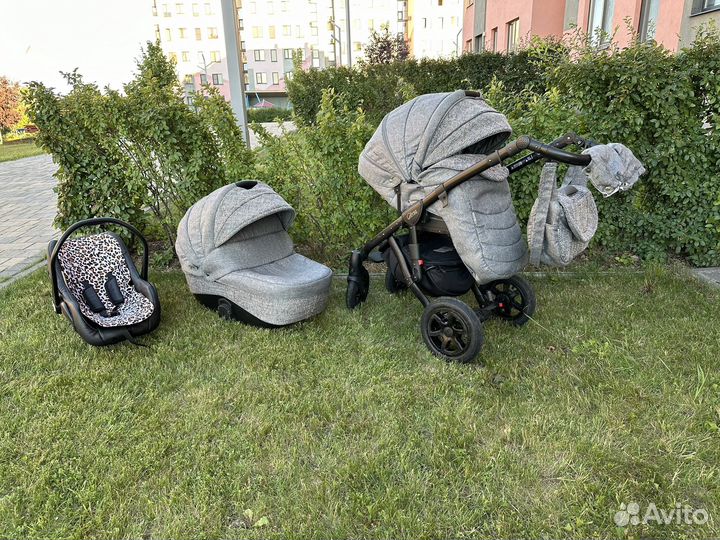 Коляска 2 в 1 adamex gloria