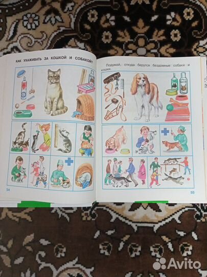 Книги - Окружающий мир