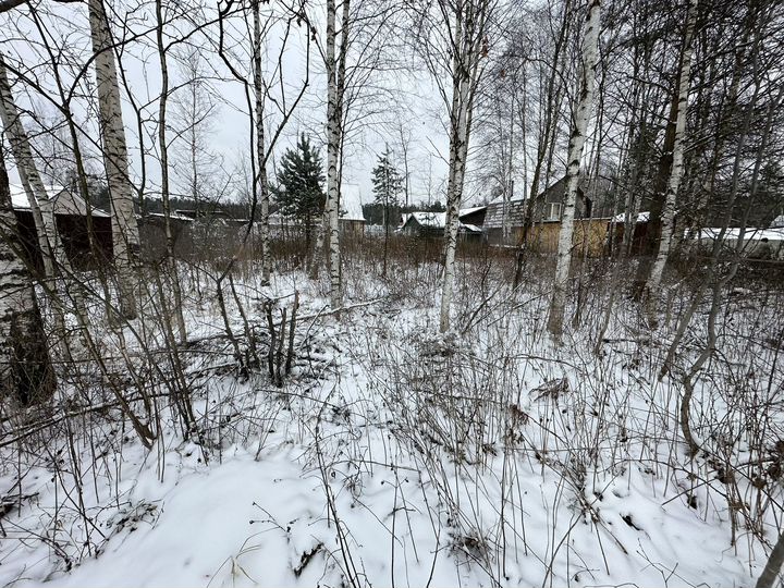 Участок 7,8 сот. (СНТ, ДНП)