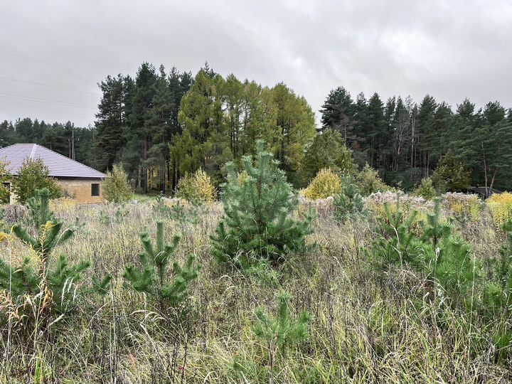 Участок 15 сот. (ИЖС)