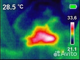 Аренда Тепловизора для обследования