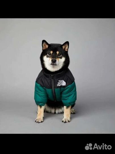Новая Куртка на собаку
