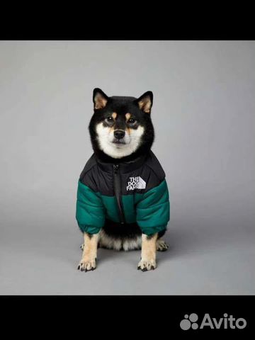 Новая Куртка на собаку