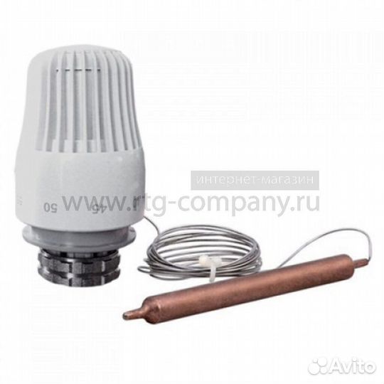 Термоголовка TIM с выносным погружным датчиком, жи