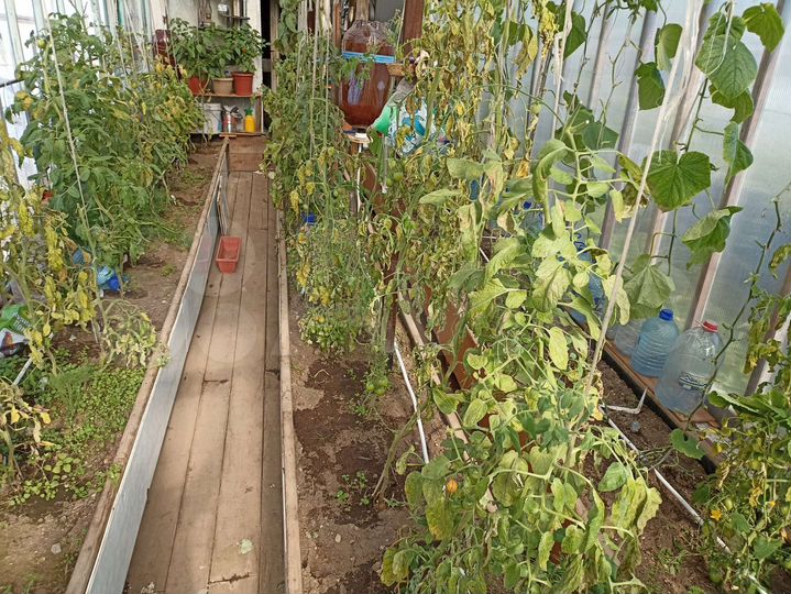 Дом 42 м² на участке 4,8 сот.