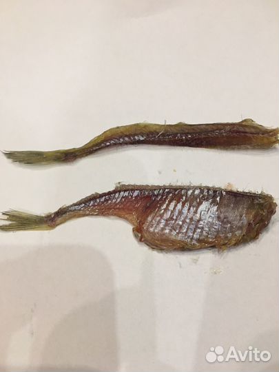 Уклейка малосольная с икрой