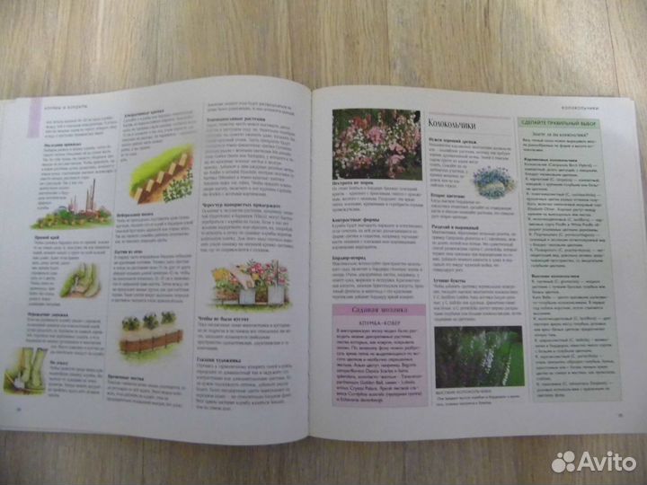 1000 советов и идей для вашего сада