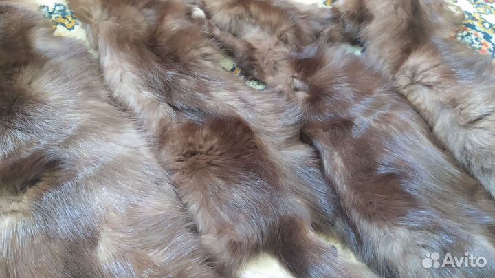 Шкурка животного