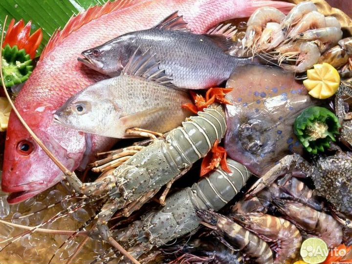 Франшиза: рыба и морепродукты для успеха