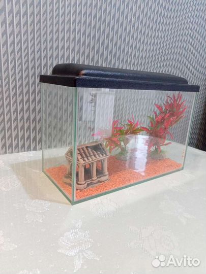 Аквариум