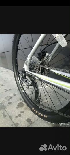 Gt avalanche elite XL