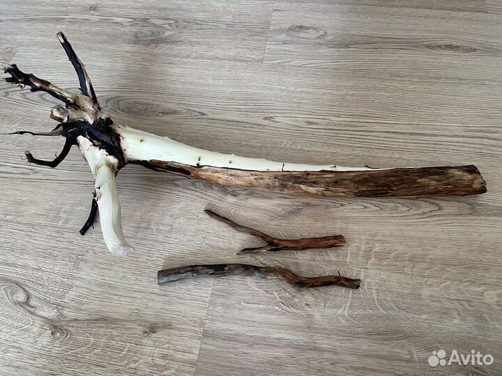 Коряга в террариум