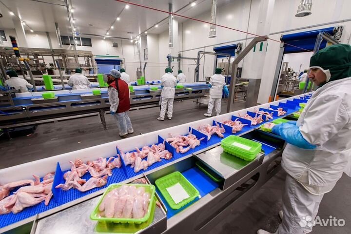 Работа вахтовым методом на Птицефабрике в Глазове