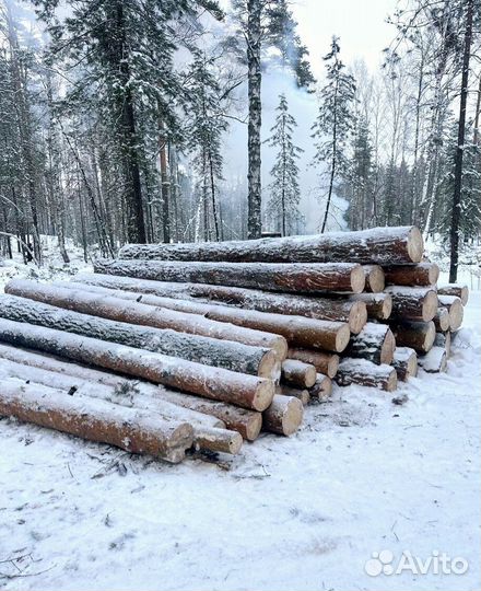 Круглый лес