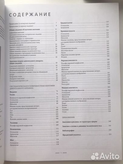 Анатомия для художников Джованни Чиварди книга