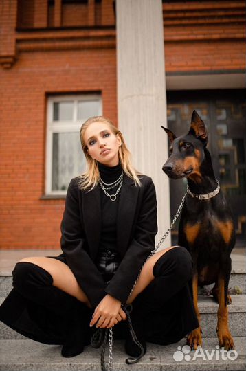 Фотосессия с доберманом