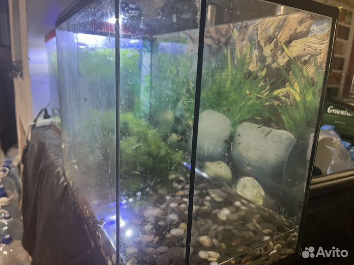 Аквариум