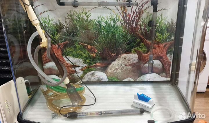 Аквариум
